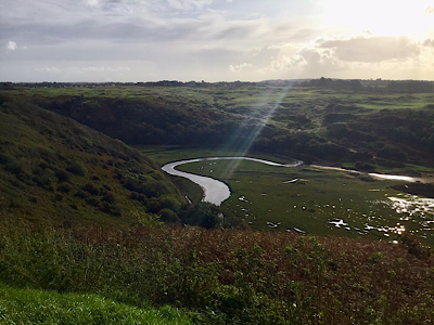 T4 for Sale Three Cliffs Gower lagoon